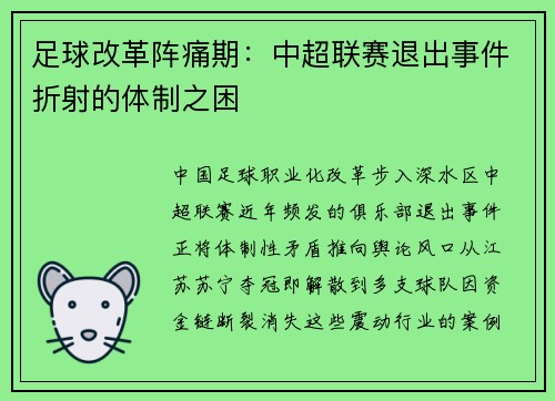 足球改革阵痛期：中超联赛退出事件折射的体制之困