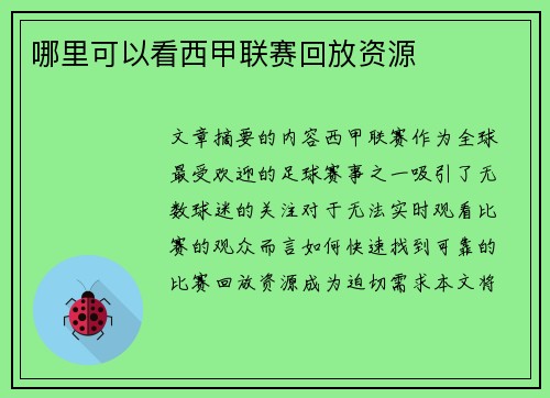 哪里可以看西甲联赛回放资源